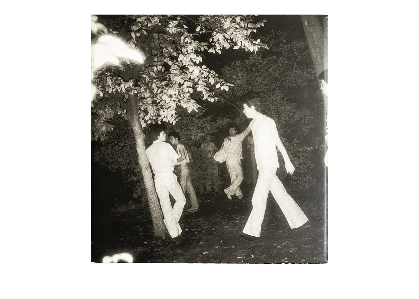 Kohei Yoshiyuki: The Park ( Limited Edition 500 signed